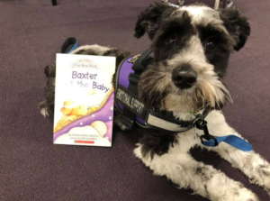 Therapy Dogs In Schools – Instructional Coaches Corner